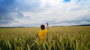 Little boy plays on factory background. Child in yellow t-shirt walking on wheat field and holds toy plane in his hand in summer. video