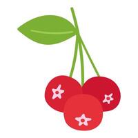 Cranberry. Branch. illustration on white background. vector