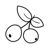 Blackcurrant. Outline isolated icon. Graphic design. Illustration on white background. vector