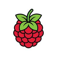 Raspberry icon isolated on white background vector