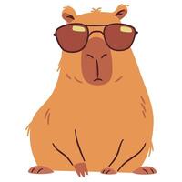 Flat illustration in a simple children's style. Cute cool capybara in sunglasses vector