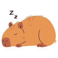 Flat illustration in a simple children's style. Cute capybara sleeping on white background vector