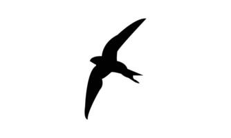 Swift Bird Silhouette Design And Illustration. vector