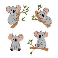 Set of cute koalas isolate on white background. graphics. vector