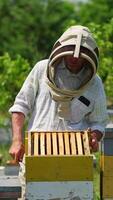 Mid-aged beekeeper lifts the upper part of a hive. Apiarist uses smoker to scare off the bees. Blurred nature backdrop. Vertical video