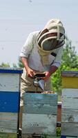 Apiculturist in protective hat smokes the bees from a device. Man uses smoker to calm down the insects. Vertical video