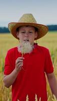 Teenager in straw hat on wheat field. Boy is blowing into the dandelion on beautiful nature background in farmland. Slow motion. Vertical video