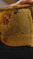 The layer of wax is removed with the help of electric knife appliance. Apiarist prepares frames with honeycombs for extracting honey. Vertical video