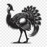 The Striding Cassowary Silhouette Action vector