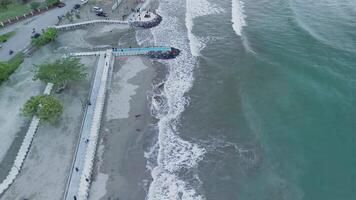 Aerial View of Coastal Town with Palm Trees and Ocean Waves video