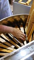 Man in T-shirt puts the honey frames into metal barrel. Apiarist turns the centrifuge inside the barrel to fill the empty places. Vertical video
