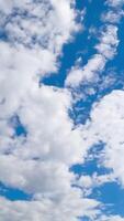 Soft white cloudscape moving by the azure horizon. Beautiful low angle view of sky on sunny day covering with light clouds. Timelapse. Vertical video