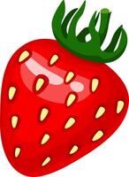 Bright and colorful illustration showcasing a fresh red strawberry with green leaves, highlighting its juicy texture and seeds. Perfect for themes related to fruit, health, and nutrition vector