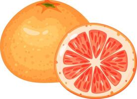 Ripe grapefruit showing its whole fruit and a half, highlighting the juicy texture and segments of the citrus fruit, creating a vibrant and refreshing image vector