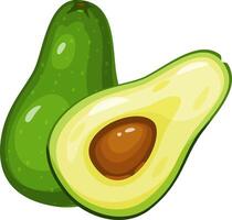 Whole and halved avocados displaying seeds, showcasing vibrant green and yellow hues, emphasizing fresh, ripe qualities. Perfect representation of healthy eating on a white background vector
