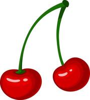 Two shiny red cherries hanging from a shared green stem, showcasing a vibrant display of freshness and natural sweetness, embodying the essence of summer fruit vector