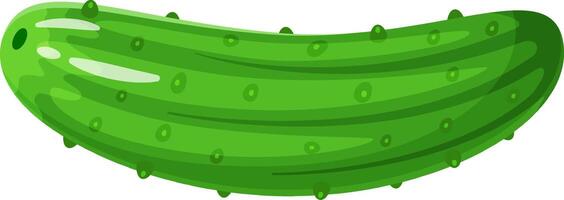 Vibrant green cucumber with noticeable bumps, suggesting freshness and readiness for culinary use, lying horizontally against a clean white background vector