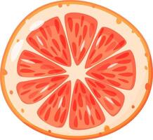 Close up view showcasing a juicy grapefruit slice, highlighting its vibrant segments and textured flesh, creating a refreshing and healthy visual ideal for promoting nutritious eating vector