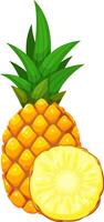 Whole pineapple with sliced part showing the inside, isolated on white background, ideal for illustrating healthy eating habits or tropical locations vector