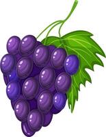 Vivid illustration of a cluster of purple grapes attached to a green leaf. The grapes are depicted with a glossy texture, emphasizing their freshness and ripeness vector
