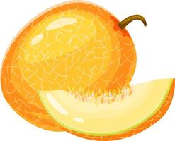 Ripe melon with characteristic rind and a slice displaying its juicy pulp, small seeds, and refreshing appeal, perfect for summer desserts and healthy snacks vector