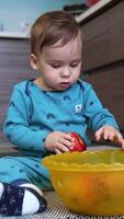 Cute toddler sitting on the kitchen floor with a bowl of fruit in front of him. Lovely child takes and apple and bites it looking at camera. video