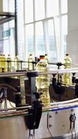 Bottle with sunflower oil on the conveyor. Bottles of olive oil travelling along the production line inside a factory for the production of edible oils Vertical video