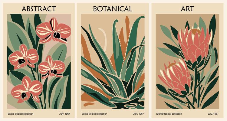 Set of Abstract botanical poster in retro mid century modern style. Agave, Orchid, Protea flowers