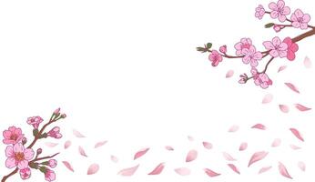 Abstract Spring background with Sakura, Cherry blossom branch and falling petals border and copy space for text. Overlay, banner, cover vector