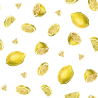 Seamless pattern with watercolor illustration of slice and whole lemon, peel or zest Lemon or Lime. Repeat ornament Hand painted lemon branch on white isolated background for juice label or icon. png