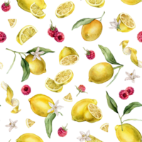 Seamless pattern with watercolor illustration of slice and whole lemon, peel or zest Lemon and raspberry. Repeat ornament Hand painted lemon with green leaf and white flowers on isolated background. png