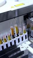 teste óculos com escrito a mão marcas em eles colocada para dentro especial suporte dentro máquina. sangue teste desempenho dentro a laboratório com avançado equipamento. vertical video