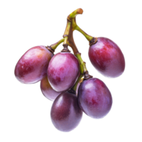 Burmese grape tropical fruit cluster isolated on transparent background for culinary and nutritional exploration, burmese grape, tropical fruit isolated on transparent background png