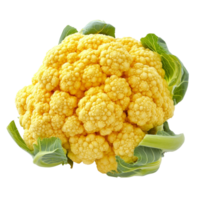Bright yellow cauliflower on a transparent background highlights its unique color and texture for culinary ideas, yellow cauliflower on transparent background png