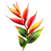 Vibrant heliconia flower with striking colors displayed against a pure transparent background in natural beauty, heliconia flower on transparent background png