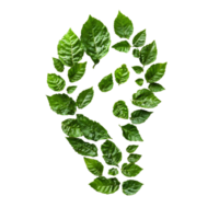 Unique footprint made of green leaves displayed against a transparent background emphasizing nature and ecofriendliness, Footprint Made of Green Leaves Isolated on transparent background png