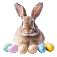 Funny bunny celebrating Easter with colorful eggs on a bright transparent background, funny bunny easter with eggs on transparent background png