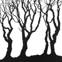 Silhouettes of bare trees against a bright backdrop at dusk creating a haunting, tranquil atmosphere, trees silhouettes png