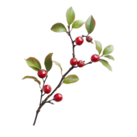 Lingonberry branch with vibrant red berries and lush green leaves isolated on transparent background, lingonberry branch with red berries isolated on transparent background png