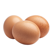 Brown eggs isolated on a transparent background showcasing their smooth texture and natural color variation, brown eggs isolated on transparent png