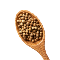 Coriander seeds in a wooden spoon on a transparent background, showcasing their natural brown hues and texture, Coriander seeds in wood spoon on transparent background png