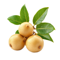 Fresh longan fruit with vibrant green leaves displayed on a clean transparent background for a natural look, Longan with leaves isolated on transparent background png