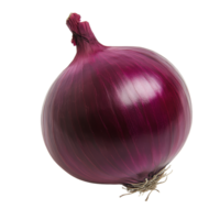 Fresh red onion on a clean transparent background showcasing its natural shine and rich color, Red onion on transparent background png