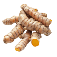 Fresh turmeric roots isolated on a bright transparent background showcasing their distinctive texture and color, turmeric roots isolated on transparent background png