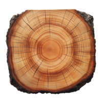 Beautiful tree trunk cross section cutting board showcasing natural wood grain and texture perfect for kitchen use, tree trunk cross section, A cutting board made of crosssectional wood. png