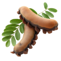 Ripe tamarind pods with fresh leaves isolated against a transparent background for culinary and health uses, ripe tamarind with leaf isolated on transparent background png