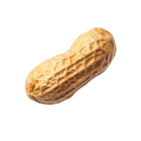 Single peanut on a transparent background highlighting its unique texture and natural shape, Single peanut isolated png