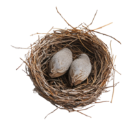 Nest with two birds resting in a delicate design on a clean transparent background, Birds nest on a transparent background png