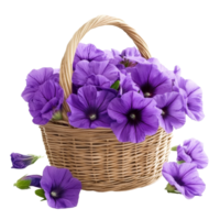 Purple petunias arranged in a wicker basket on a clean transparent backdrop, perfect for spring decor and floral arrangements, Purple flowers in basket on transparent background png