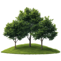 A cluster of green trees on a grassy mound set against a transparent background for versatile design use, green trees isolated on blank trasparent background, png